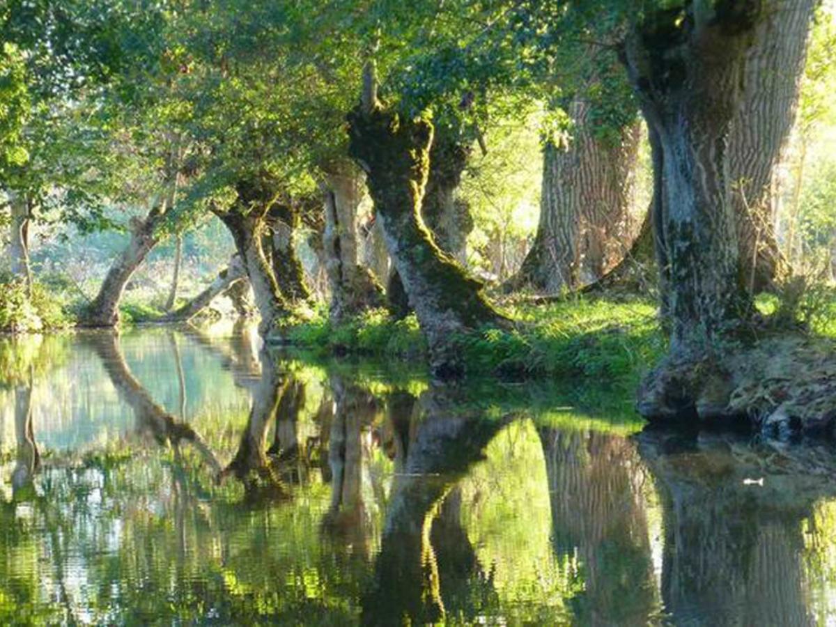 La Laujere Ivie - Gite & Piscine Privative Saint-Hilaire-du-Bois  Dış mekan fotoğraf